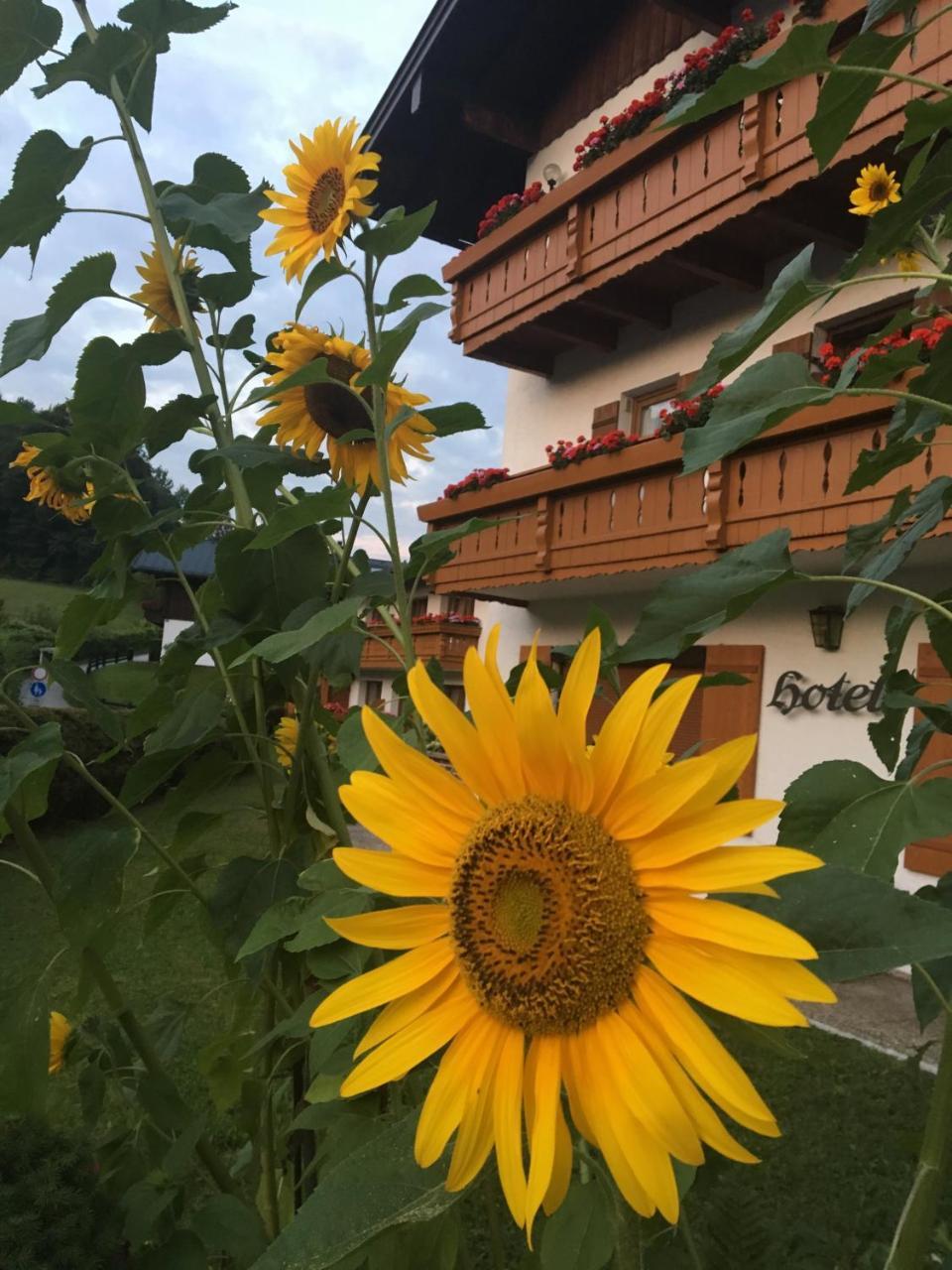 Ferienwohnungen Weiherbach - Hallenbad Berchtesgaden Dış mekan fotoğraf