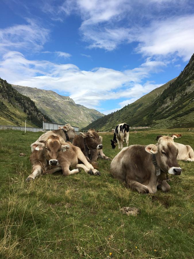 Ferienwohnungen Weiherbach - Hallenbad Berchtesgaden Dış mekan fotoğraf
